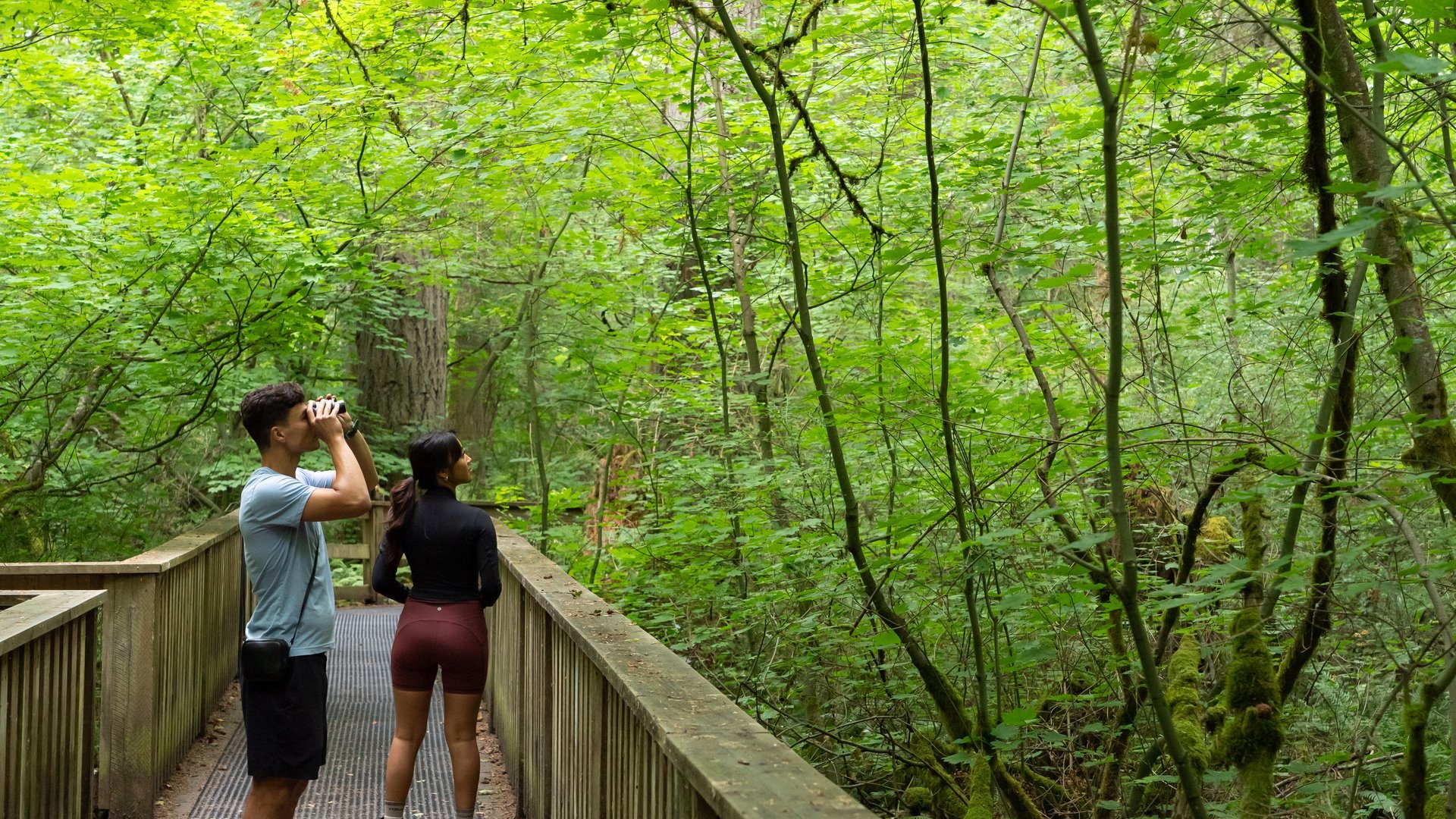 Bird watching Sunnyside Acres Urban Forest Park Surrey BC Bird Trail 2023 large